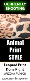AZ FASHION - Leopard Print Done Right
